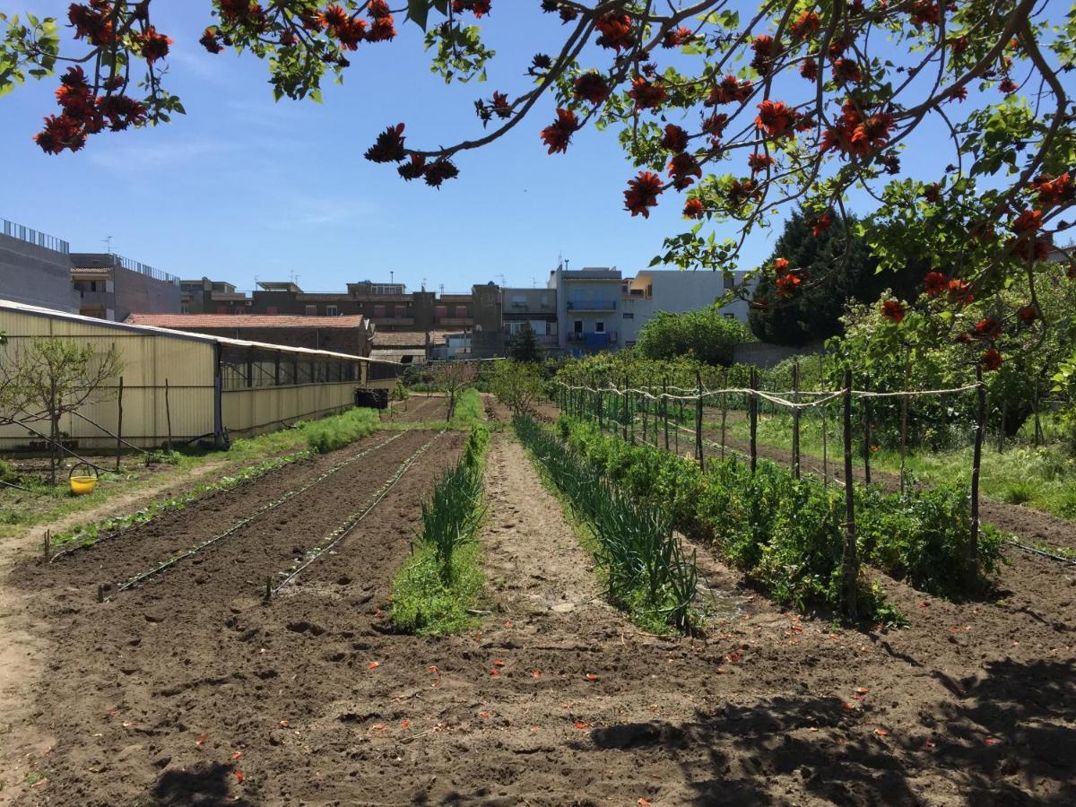 Ortosalato Agricamping Torregrotta Exterior photo