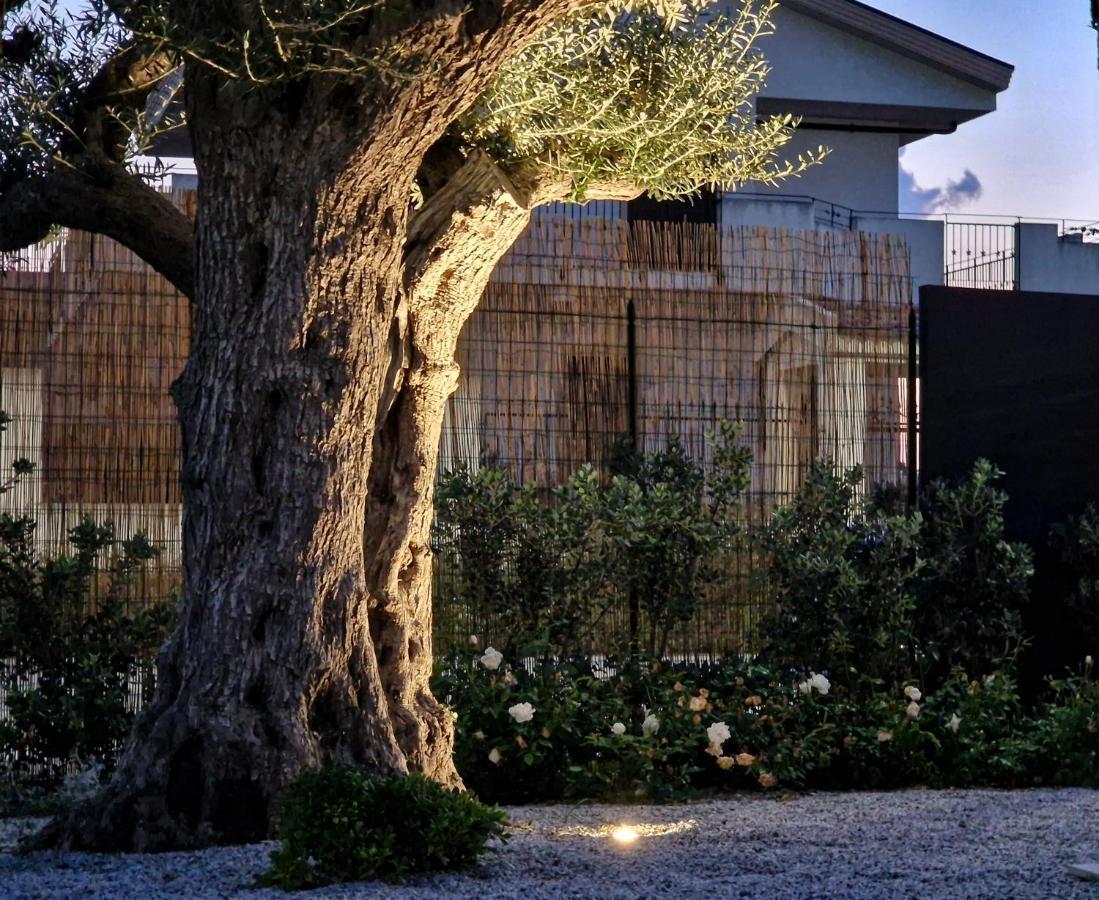 Ortosalato Agricamping Torregrotta Exterior photo